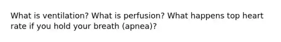 What is ventilation? What is perfusion? What happens top heart rate if you hold your breath (apnea)?