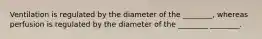 Ventilation is regulated by the diameter of the ________, whereas perfusion is regulated by the diameter of the ________ ________.