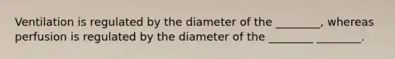 Ventilation is regulated by the diameter of the ________, whereas perfusion is regulated by the diameter of the ________ ________.