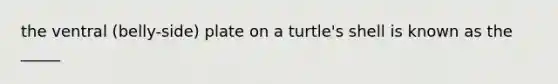 the ventral (belly-side) plate on a turtle's shell is known as the _____