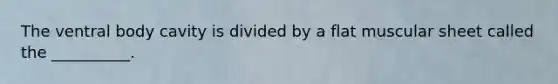 The ventral body cavity is divided by a flat muscular sheet called the __________.