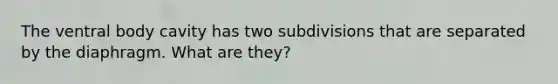 The ventral body cavity has two subdivisions that are separated by the diaphragm. What are they?