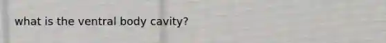 what is the ventral body cavity?