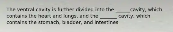 The ventral cavity is further divided into the ______cavity, which contains the heart and lungs, and the _______ cavity, which contains the stomach, bladder, and intestines