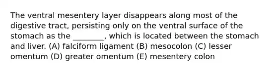 The ventral mesentery layer disappears along most of the digestive tract, persisting only on the ventral surface of the stomach as the ________, which is located between the stomach and liver. (A) falciform ligament (B) mesocolon (C) lesser omentum (D) greater omentum (E) mesentery colon