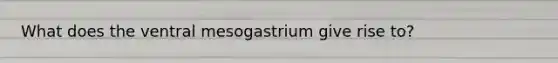 What does the ventral mesogastrium give rise to?