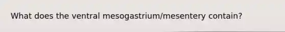 What does the ventral mesogastrium/mesentery contain?