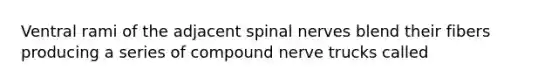 Ventral rami of the adjacent spinal nerves blend their fibers producing a series of compound nerve trucks called