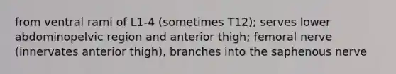 from ventral rami of L1-4 (sometimes T12); serves lower abdominopelvic region and anterior thigh; femoral nerve (innervates anterior thigh), branches into the saphenous nerve