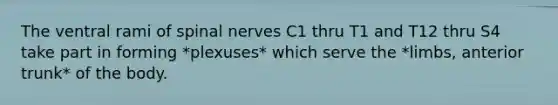 The ventral rami of spinal nerves C1 thru T1 and T12 thru S4 take part in forming *plexuses* which serve the *limbs, anterior trunk* of the body.