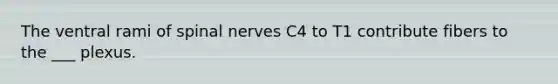 The ventral rami of spinal nerves C4 to T1 contribute fibers to the ___ plexus.