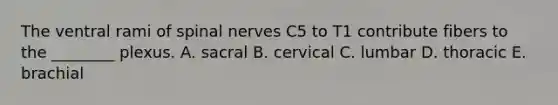 The ventral rami of spinal nerves C5 to T1 contribute fibers to the ________ plexus. A. sacral B. cervical C. lumbar D. thoracic E. brachial