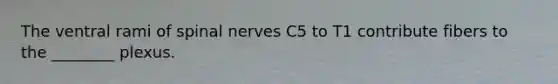 The ventral rami of spinal nerves C5 to T1 contribute fibers to the ________ plexus.