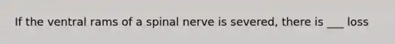 If the ventral rams of a spinal nerve is severed, there is ___ loss