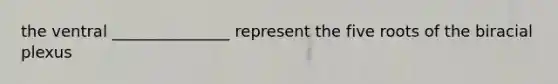 the ventral _______________ represent the five roots of the biracial plexus