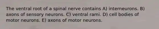 The ventral root of a spinal nerve contains A) interneurons. B) axons of sensory neurons. C) ventral rami. D) cell bodies of motor neurons. E) axons of motor neurons.