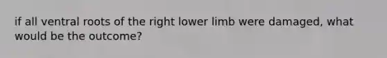 if all ventral roots of the right lower limb were damaged, what would be the outcome?