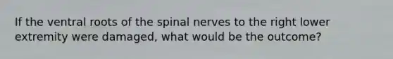 If the ventral roots of the spinal nerves to the right lower extremity were damaged, what would be the outcome?