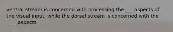 ventral stream is concerned with processing the ___ aspects of the visual input, while the dorsal stream is concerned with the ____ aspects