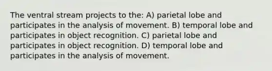 The ventral stream projects to the: A) parietal lobe and participates in the analysis of movement. B) temporal lobe and participates in object recognition. C) parietal lobe and participates in object recognition. D) temporal lobe and participates in the analysis of movement.