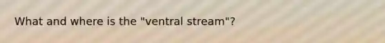 What and where is the "ventral stream"?