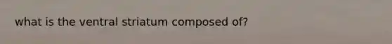 what is the ventral striatum composed of?