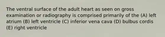 The ventral surface of the adult heart as seen on gross examination or radiography is comprised primarily of the (A) left atrium (B) left ventricle (C) inferior vena cava (D) bulbus cordis (E) right ventricle