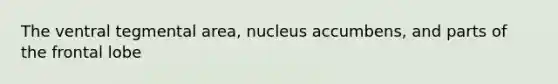 The ventral tegmental area, nucleus accumbens, and parts of the frontal lobe