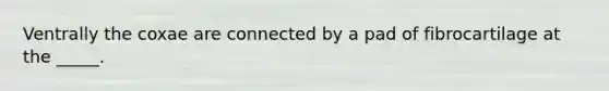 Ventrally the coxae are connected by a pad of fibrocartilage at the _____.
