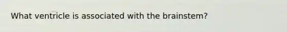 What ventricle is associated with the brainstem?