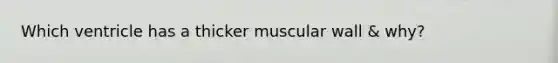 Which ventricle has a thicker muscular wall & why?