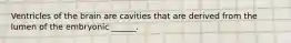 Ventricles of the brain are cavities that are derived from the lumen of the embryonic ______.