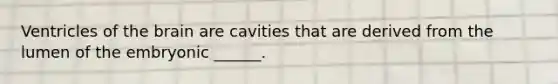 Ventricles of the brain are cavities that are derived from the lumen of the embryonic ______.