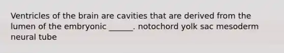 Ventricles of <a href='https://www.questionai.com/knowledge/kLMtJeqKp6-the-brain' class='anchor-knowledge'>the brain</a> are cavities that are derived from the lumen of the embryonic ______. notochord yolk sac mesoderm neural tube