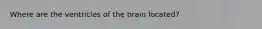 Where are the ventricles of the brain located?