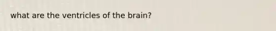 what are the ventricles of the brain?