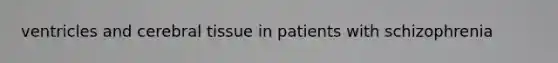 ventricles and cerebral tissue in patients with schizophrenia