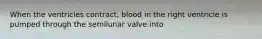 When the ventricles contract, blood in the right ventricle is pumped through the semilunar valve into