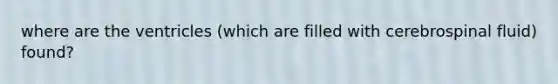 where are the ventricles (which are filled with cerebrospinal fluid) found?