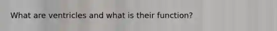 What are ventricles and what is their function?