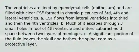 The ventricles are lined by ependymal cells (epithelium) and are filled with clear CSF formed in choroid plexuses of 3rd, 4th and lateral ventricles. a. CSF flows from lateral ventricles into third and then the 4th ventricles. b. Much of it escapes through 3 small holes in roof of 4th ventricle and enters subarachnoid space between two layers of meninges. c. A significant portion of the fluid leaves the skull and bathes the spinal cord as a protective layer.