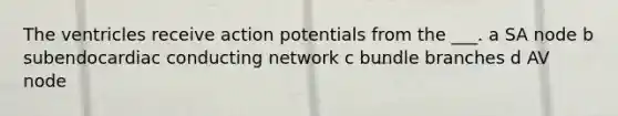 The ventricles receive action potentials from the ___. a SA node b subendocardiac conducting network c bundle branches d AV node