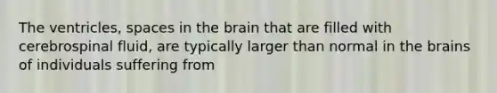 The ventricles, spaces in <a href='https://www.questionai.com/knowledge/kLMtJeqKp6-the-brain' class='anchor-knowledge'>the brain</a> that are filled with cerebrospinal fluid, are typically larger than normal in the brains of individuals suffering from