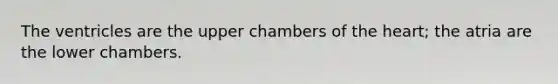 The ventricles are the upper chambers of <a href='https://www.questionai.com/knowledge/kya8ocqc6o-the-heart' class='anchor-knowledge'>the heart</a>; the atria are the lower chambers.