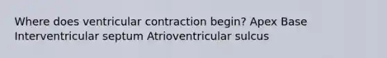 Where does ventricular contraction begin? Apex Base Interventricular septum Atrioventricular sulcus