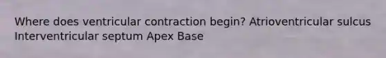Where does ventricular contraction begin? Atrioventricular sulcus Interventricular septum Apex Base