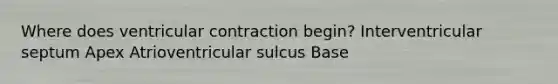 Where does ventricular contraction begin? Interventricular septum Apex Atrioventricular sulcus Base