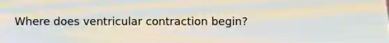 Where does ventricular contraction begin?