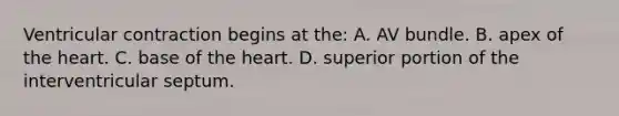 Ventricular contraction begins at the: A. AV bundle. B. apex of the heart. C. base of the heart. D. superior portion of the interventricular septum.