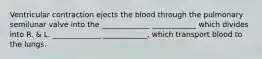 Ventricular contraction ejects the blood through the pulmonary semilunar valve into the _____________ ____________ which divides into R. & L. _____________ ____________, which transport blood to the lungs.